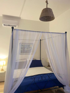 Suite ad maiora